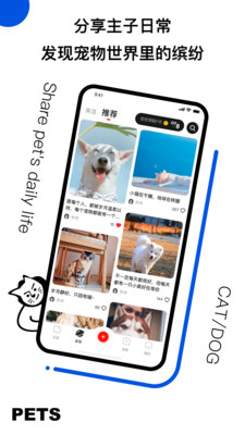 宠年年app