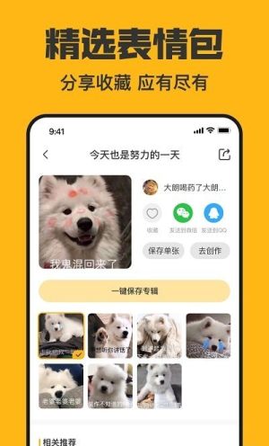 猫猴子表情包app