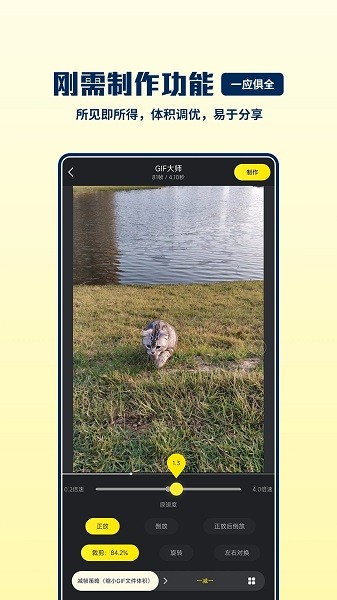 gif大师app