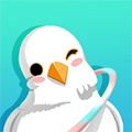 呼啦鸽软件最新版 v2.2.00安卓版