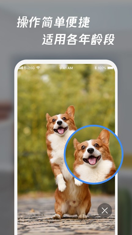 放大镜高清版app