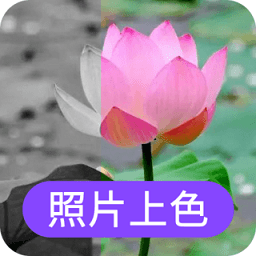 照片上色app下载-照片上色软件免费版下载 v23.11.27安卓版