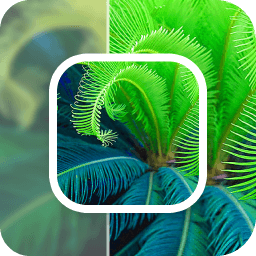 数创模糊照片修复app下载-数创模糊照片修复软件最新版下载 v23.11.24安卓版