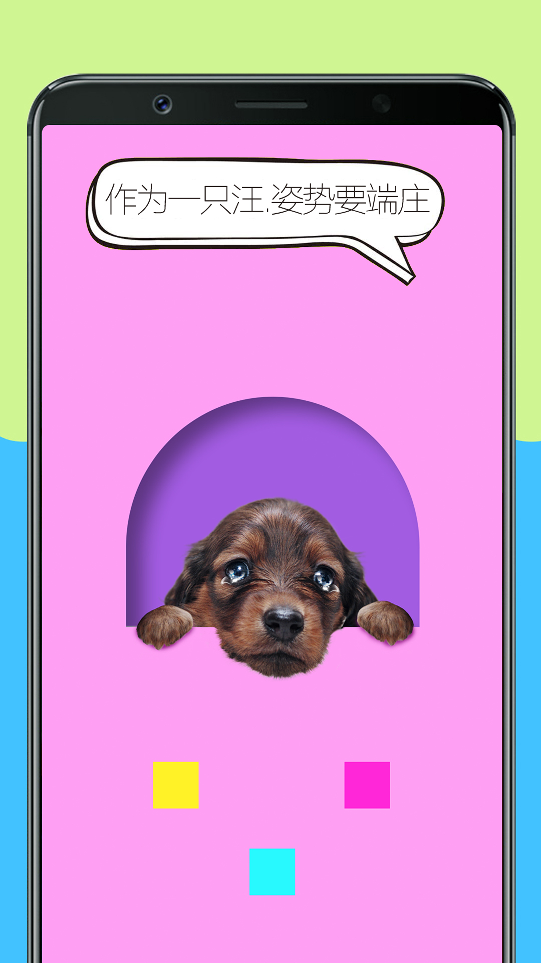 人狗训练翻译器app