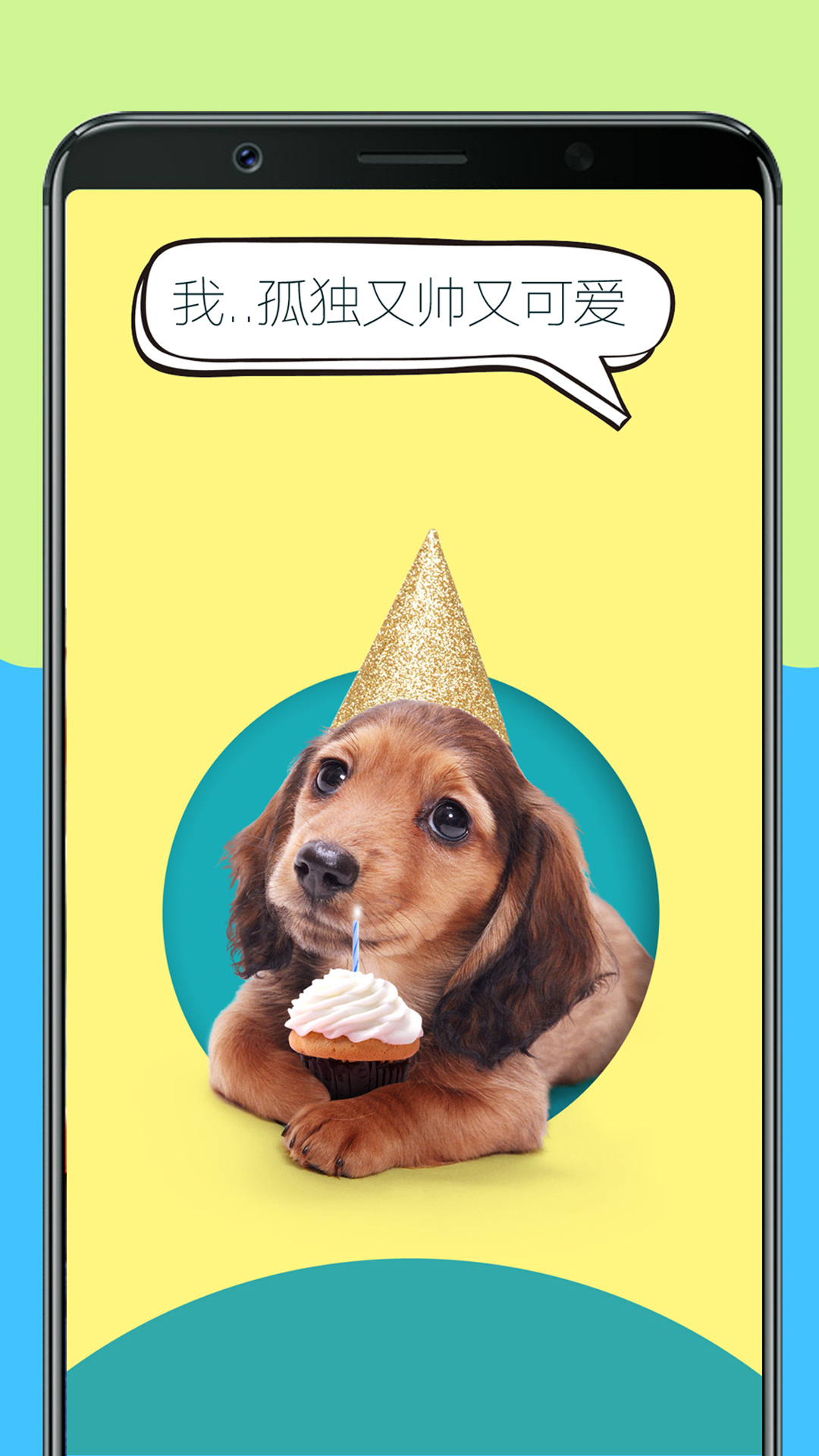 人狗训练翻译器app