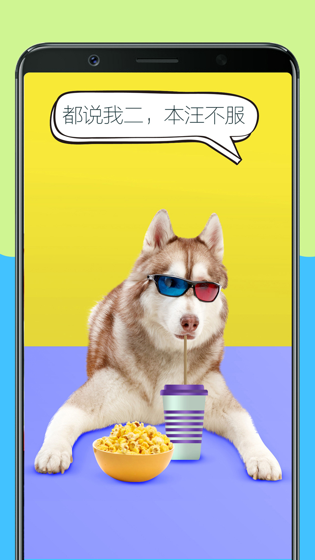 人狗训练翻译器app