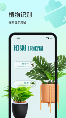 花卉识别app