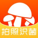 菌窝子app下载-菌窝子官方版下载 v3.0.38安卓版