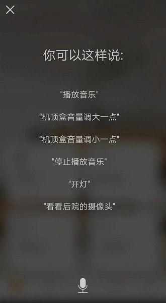 博顿智家app