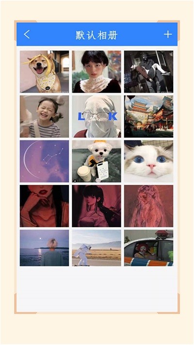 加密隐藏相册app