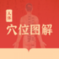 人体穴位图解最新安卓版 v3.1.4