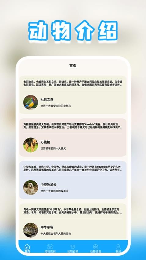游快报导app