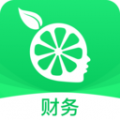 柠檬云财务app下载-柠檬云财务手机版下载 v5.4.11安卓版